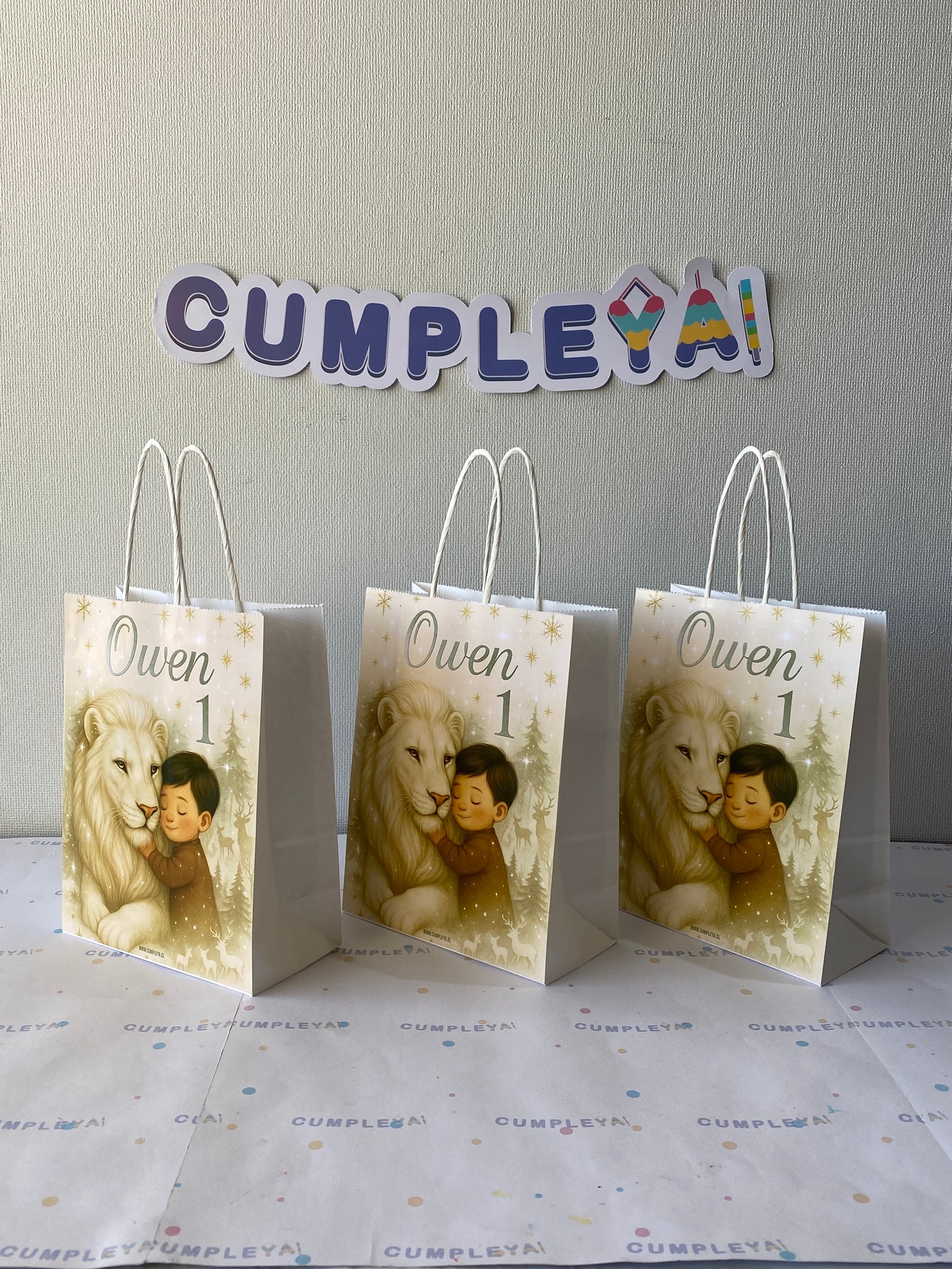 BOLSA SORPRESA 16 × 21 × 8 CM LEON