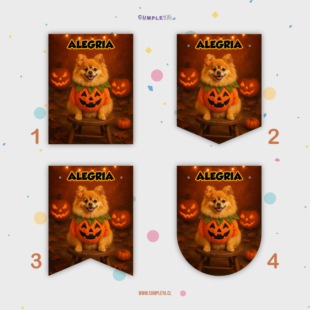 BANDERIN PERRITO POMERANIA HALLOWEEN FOTOGRAFÍA 12 MESES 11X14CM