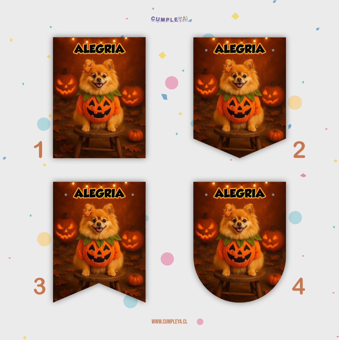 BANDERIN PERRITO POMERANIA HALLOWEEN DE FOTOGRAFÍA 12 MESES 11X14CM