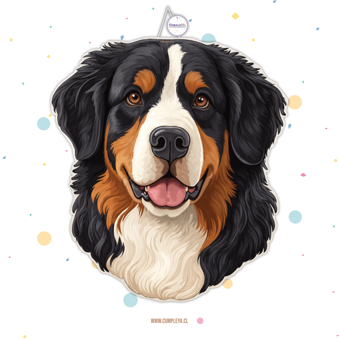 PIÑATA BOYERO DE BERNA