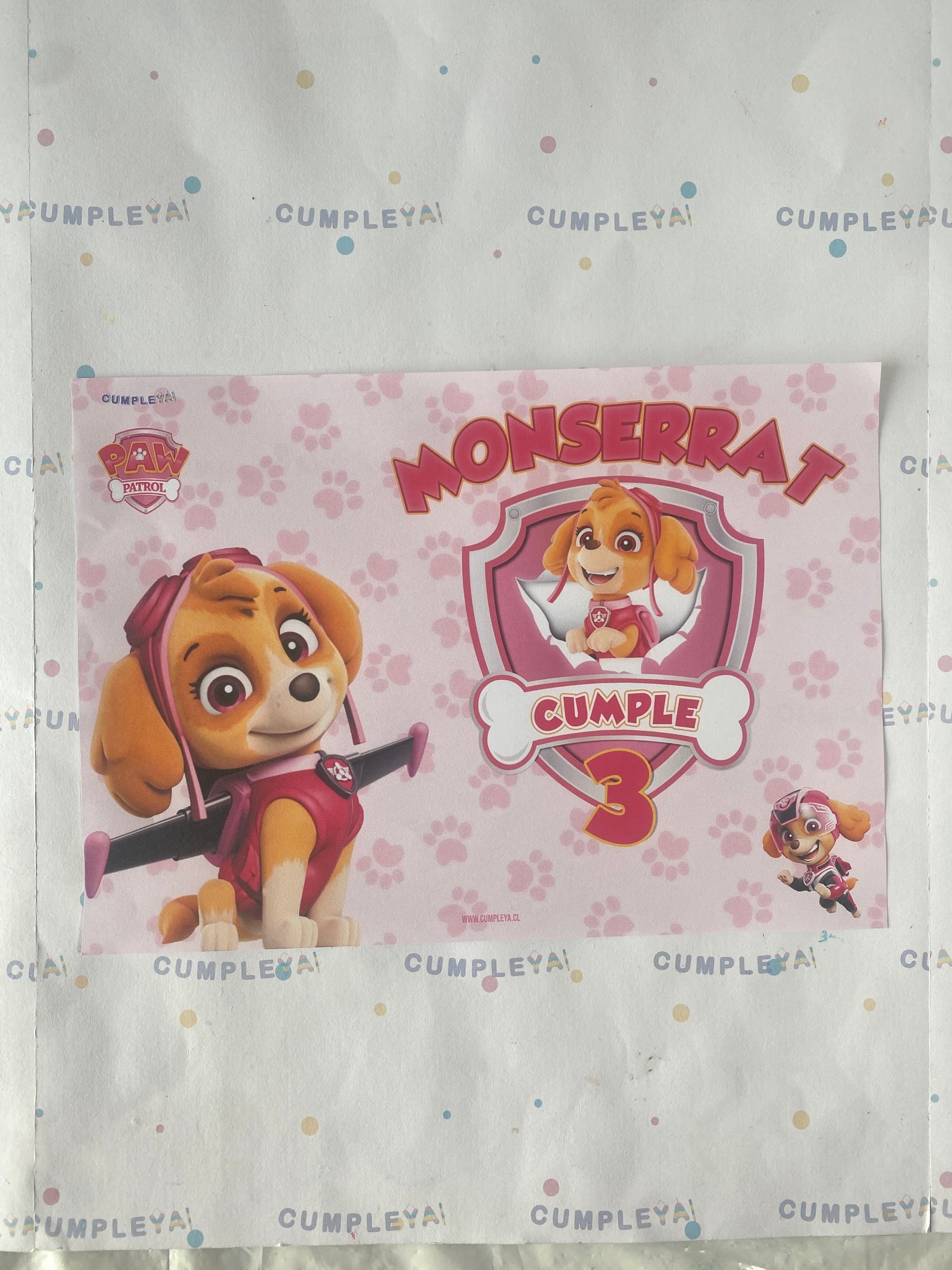 INDIVIDUALES DE PAPEL PACK 12U SKYE