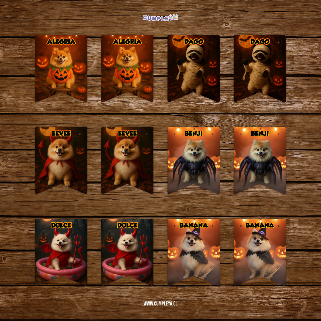 BANDERIN PERRITO POMERANIA HALLOWEEN DE FOTOGRAFÍA 12 MESES 11X14CM