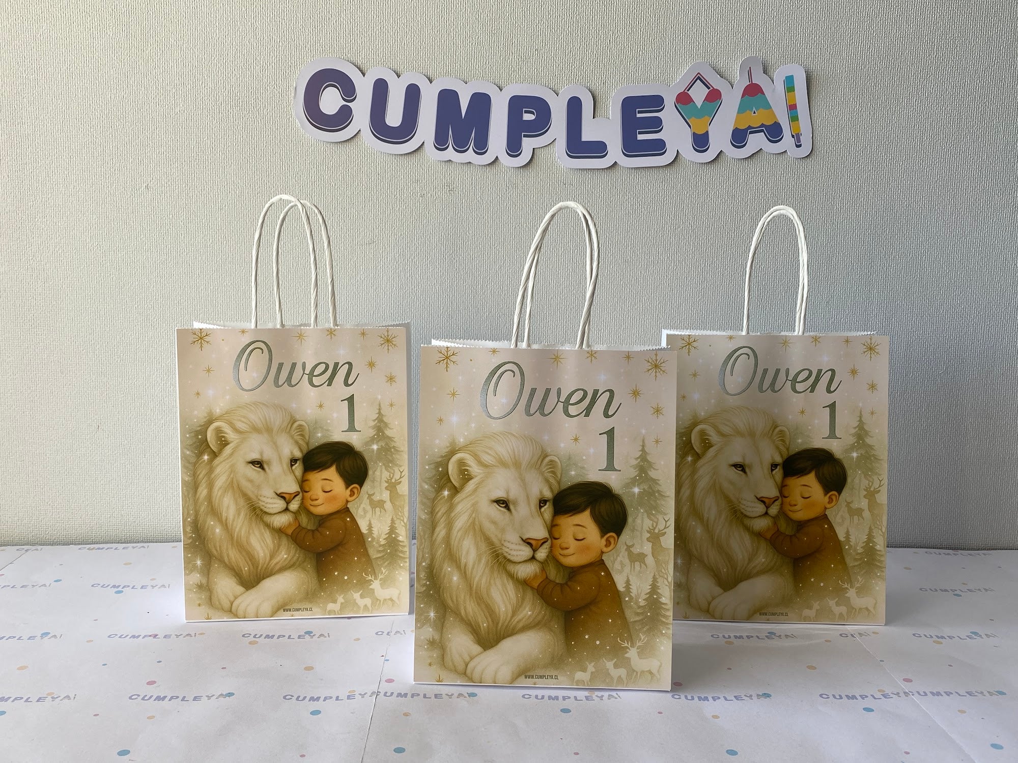 BOLSA SORPRESA 16 × 21 × 8 CM LEON