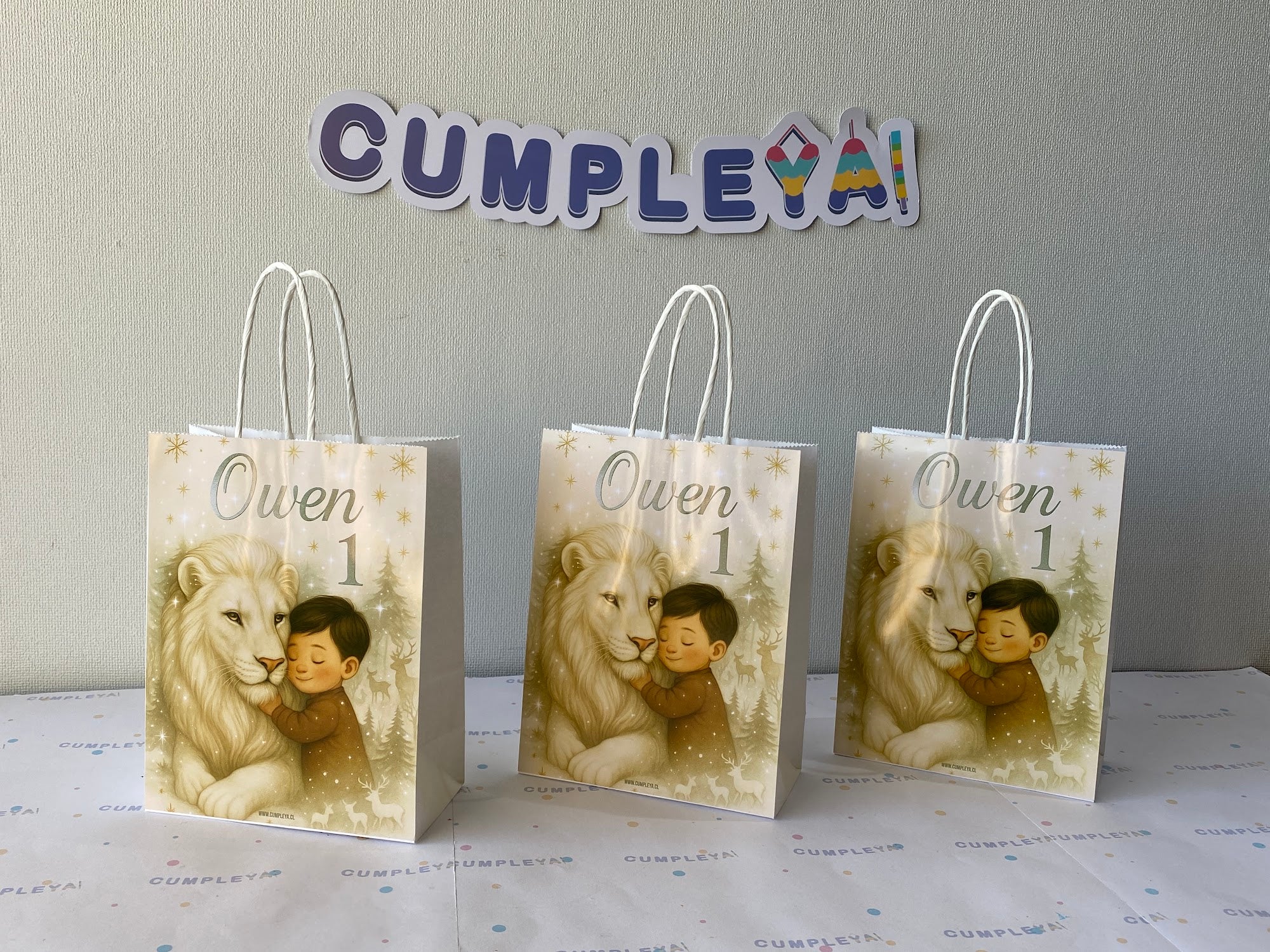 BOLSA SORPRESA 16 × 21 × 8 CM LEON