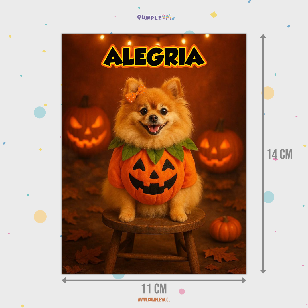BANDERIN PERRITO POMERANIA HALLOWEEN FOTOGRAFÍA 12 MESES 11X14CM