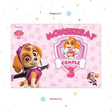 INDIVIDUALES DE PAPEL PACK 12U SKYE