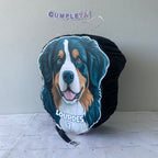 PIÑATA 40 CM BOYERO DE BERNA