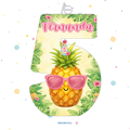 PIÑATA 40 CM NUMERO 5 PIÑA